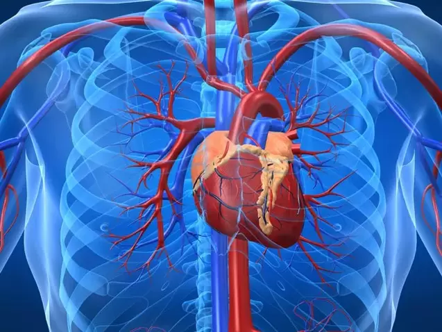 Exercícios para aumentar a potência são contra-indicados para doenças cardíacas